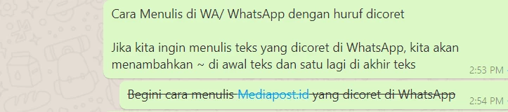 Cara Menulis di WA WhatsApp dengan huruf dicoret