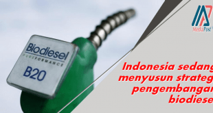 Indonesia sedang menyusun strategi pengembangan biodiesel