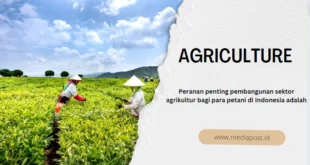 Peranan penting pembangunan sektor agrikultur bagi para petani di Indonesia adalah